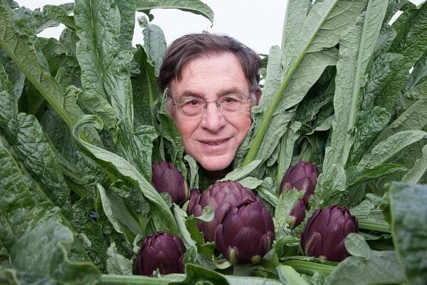Steve Jordan — Artichokes.Net