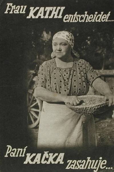 Paní Kačka zasahuje... (1939) film