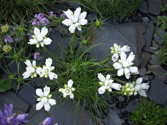 Botanická zahrada je zdrojem poznání i místem odpočinku