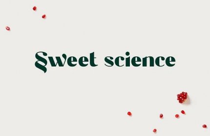 Sweet Science Wellness Elena Skroznikova Health Coach Branding Logo Design Casestudy