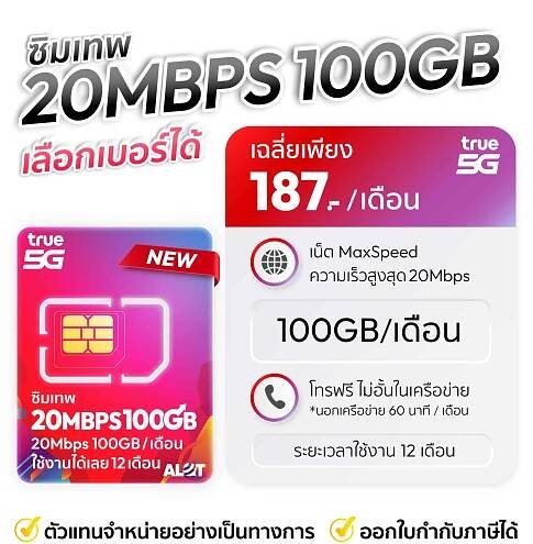 20Mbps 100GB