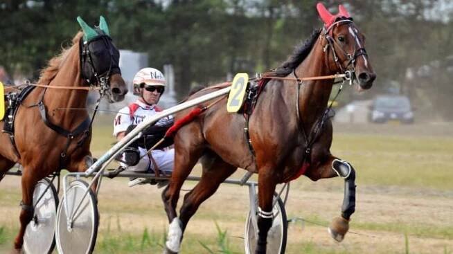 trotting-3598639_1280