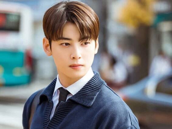 Who Is Cha EunWoo Girlfriend? Relationship Status Revealed