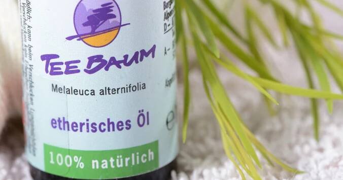 Teebaumöl: Naturheilmittel aus Australien