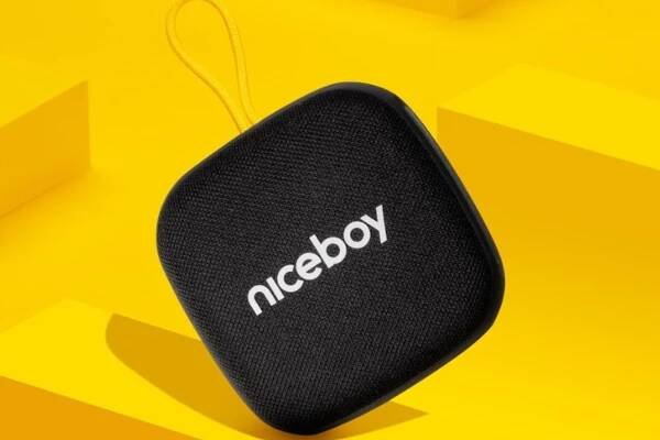Niceboy-RAZE-Mini-4