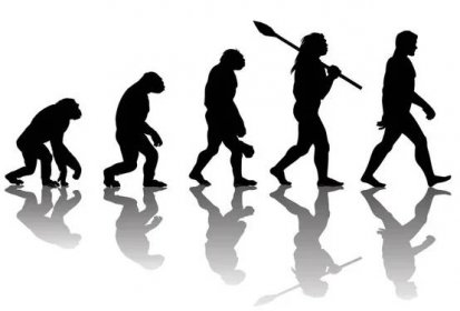 Teorie evoluce člověka — Ilustrace