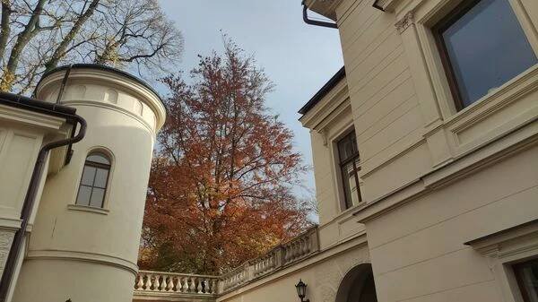 Palác Liebieg foto 3
