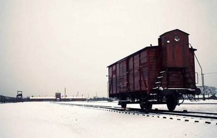 File:Freight car, Auschwitz II-Birkenau, 2014.jpg - Wikimedia Commons