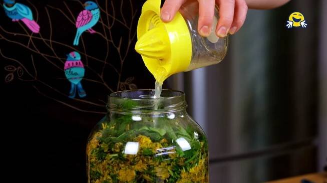 Pampeliškový sirup - zlatý poklad 🏵️ - Recept - Šikulio