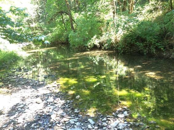 Wolf Creek Park Campground in Oregon - near Wolf Creek Inn