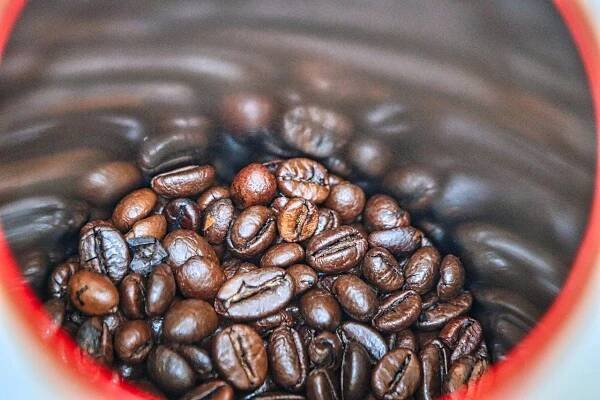 Robusta