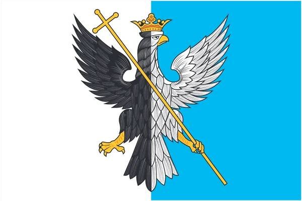 File:Flag of Bolshechernigovsky rayon (Samara oblast).png - Wikimedia Commons