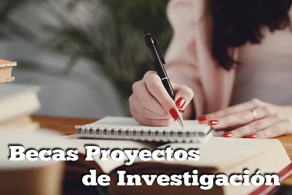 Becas – FUNVAPED