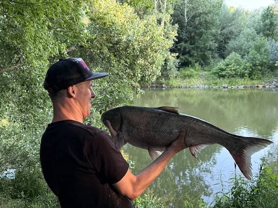 Unikátní úlovky. Monstra plavou v Dyji i ve vodách Vranovské přehrady