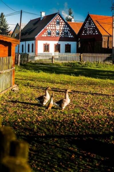 Vila Ekofarma Polná Hazlov Exteriér fotografie