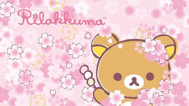 A Teddy Bear With Pink Flowers On It Wallpaper
