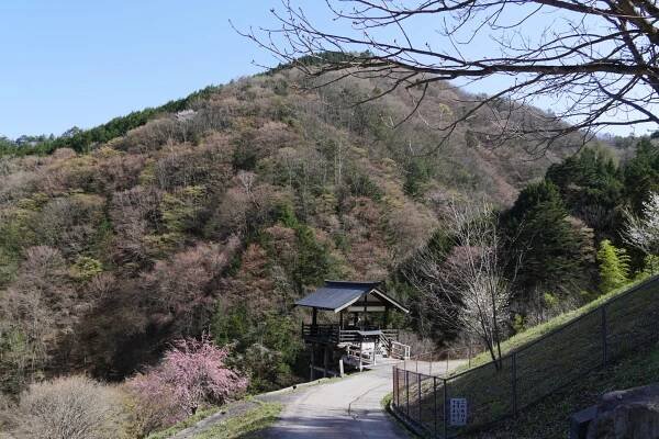 ルミーズ 公式ブログ