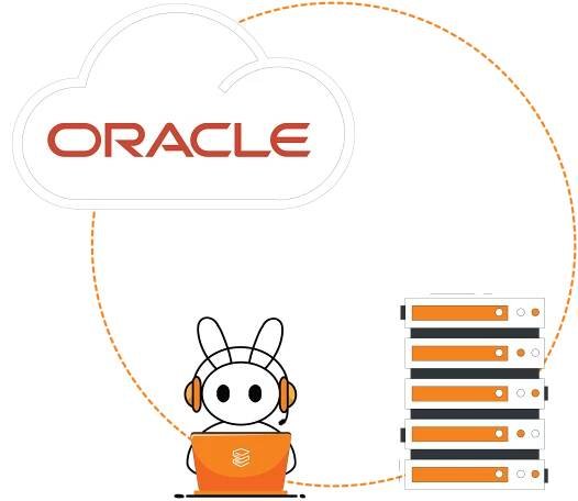 Oracle Cloud Consulting