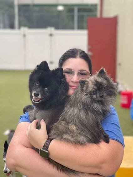 Cat Boarding Services | Pet Play Place Georgia