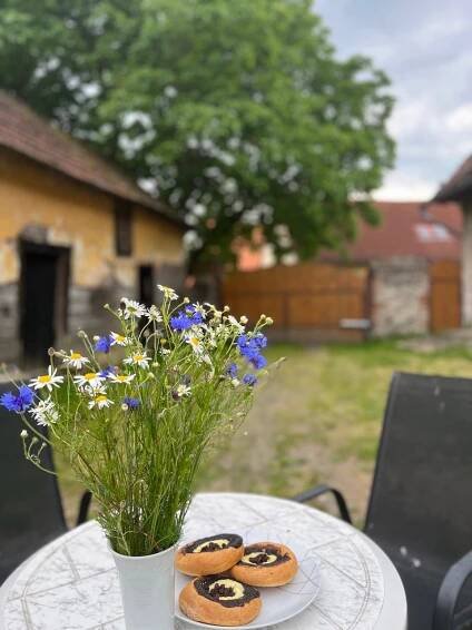 Radkovice u Měčína - Martina Nováčková