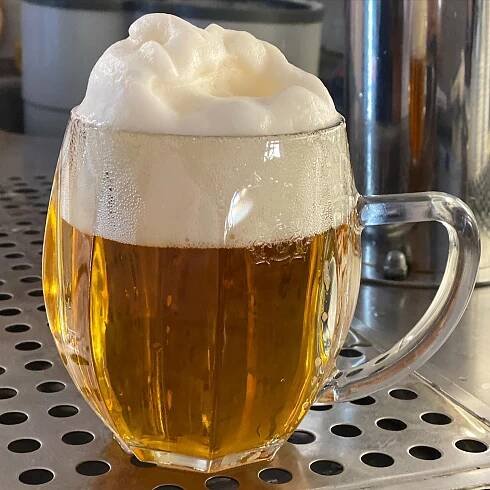 2l piva BERNARD 11°