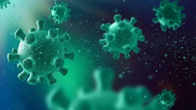 What is Nipah Virus and its Treatment?