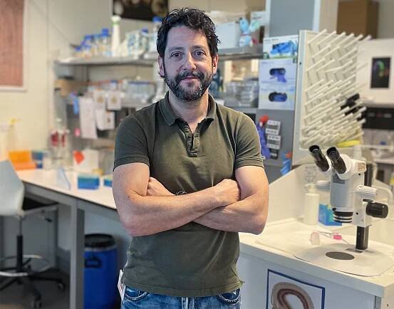 Fernando García-Moreno stands in his lab
