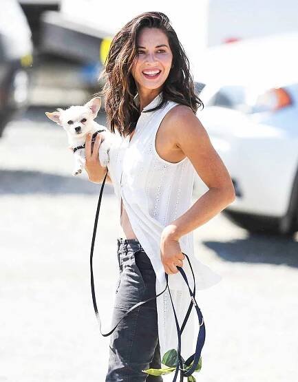 *EXCLUSIVE* Olivia Munn takes her dogs for a walk in between filming scenes for "Buddy Games"
