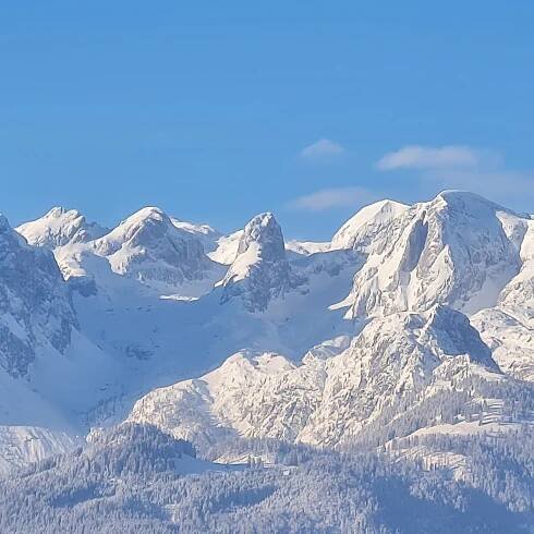 GUT WENGHOF - FAMILY RESORT WERFENWENG - Updated 2025 Prices & Resort (All-Inclusive) Reviews (Austria)
