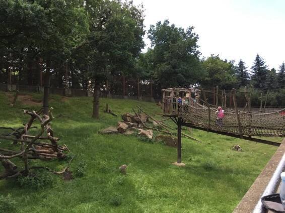 Výlet - Zoopark Chomutov