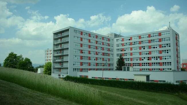 Mostecká nemocnice se štěnic zbavila, ale mohou se vrátit. Ve městě jsou běžné