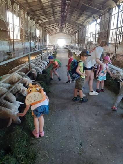 Výlet Farma Pěnčín, Černá studnice, 6/2022 - Oficiální stránky Mateřské školy Rádlo