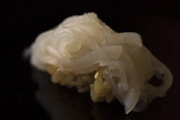 寿司 ふじさわ | Sushi Fujisawa
