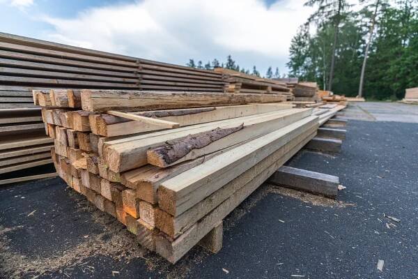 Pila Kostelec nad Černými lesy – Lesy ČZU