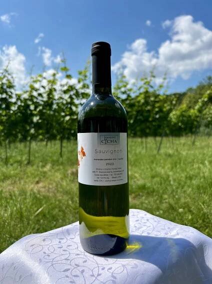 Sauvignon 2023 – suché – Víno od Toma – Vinařství Cícha
