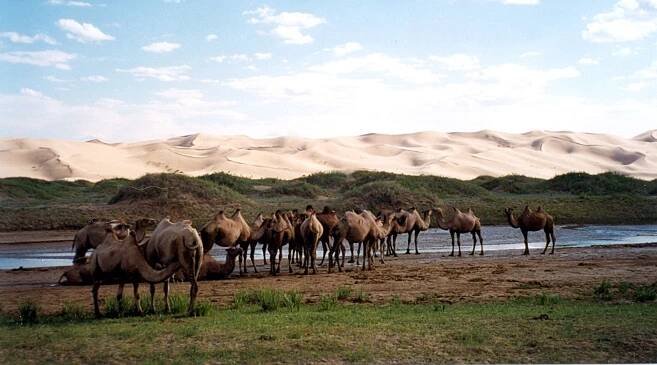 Mongolsko – Wikipedie