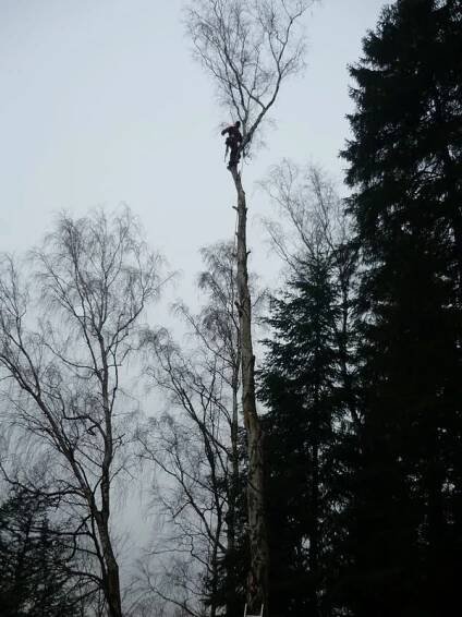 Výškové práce Roštík foto 3