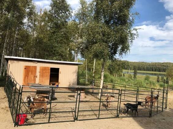 Our Products In Use – Alaska Farm Supply
