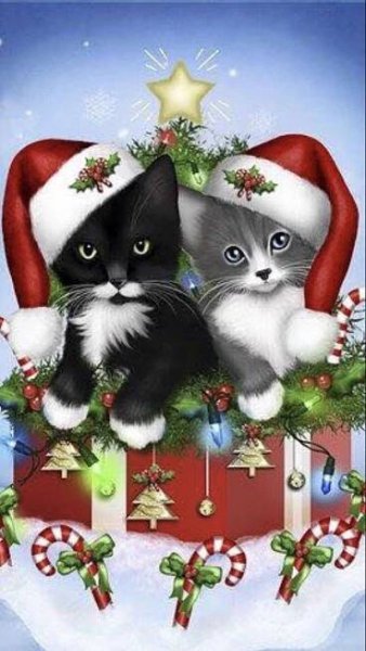 Pin by ✿♥Pearl & Lyla♥✿ on ❄  ∗ ℳɛɾɾƴ ∗ ✻ ∗ ℂɦɾɩşƭɱɑş ∗  ❄ | Merry christmas pictures, Merry christmas animation, Christmas pictures beautiful