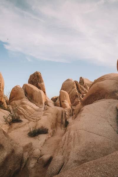 The Complete Weekend Guide to Joshua Tree - World of Wanderlust