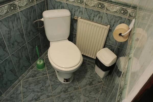 Koupelna v ubytování Penzion Haus Regrus
