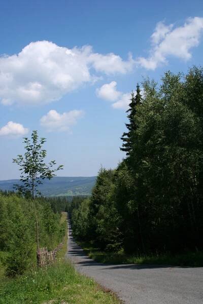 Šumava podruhé aneb želvička na cestách – Helena Rösslerová