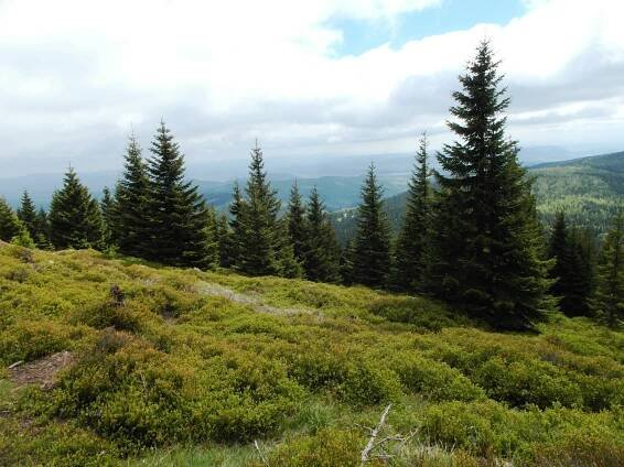 Krkonoše, Sněžka 2 | O cestování, nejen pěšky. 