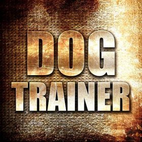 Trainer's Corner: What to expect... - English Springer Spaniel Field Trials