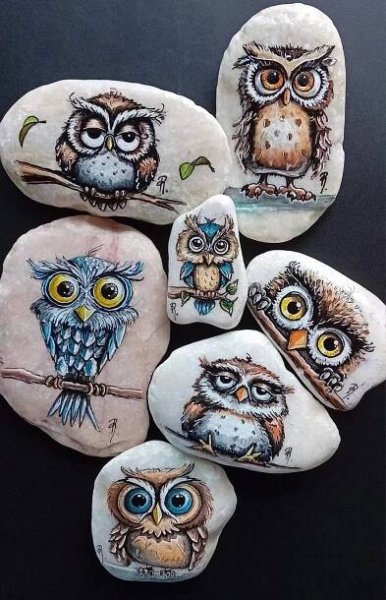 Pin di jannie prinsen su Hand painted rocks | Ciottoli dipinti, Sassi dipinti, Gufi dipinti