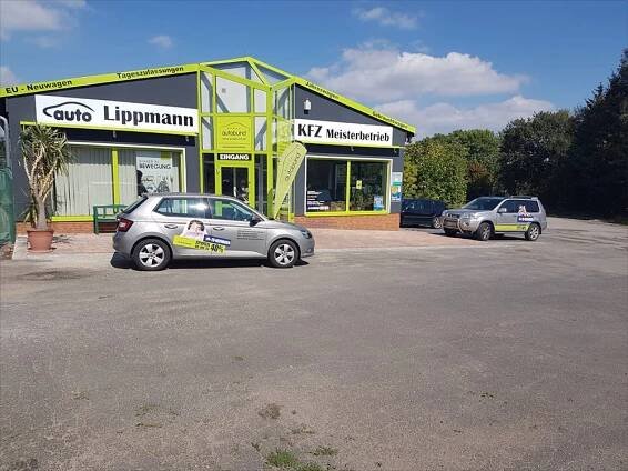 Auto-Lippmann2018-3