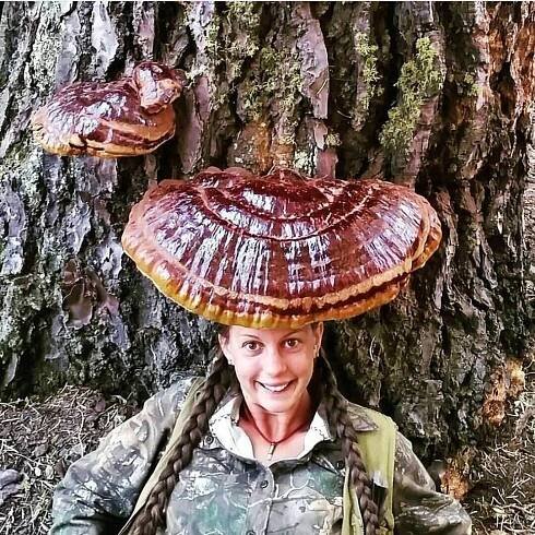 Mushroom Hunting + How We Preserve Our Wild Shrooms — ALL GOODS FROM THE WOODS ®