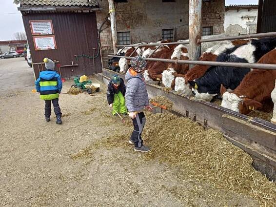 Výlet Zlatá farma Štětovice se školním družinou - ZŠ a MŠ Čelechovice na Hané