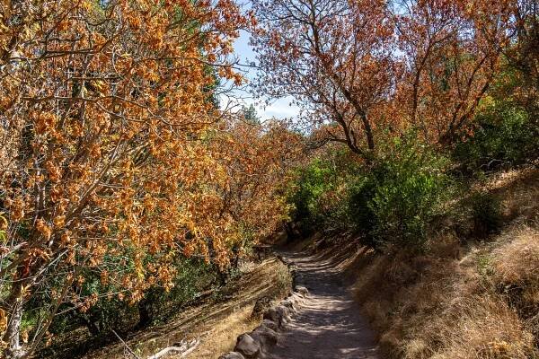 Day 3 - Pinnacles National Park // Monterey 2024