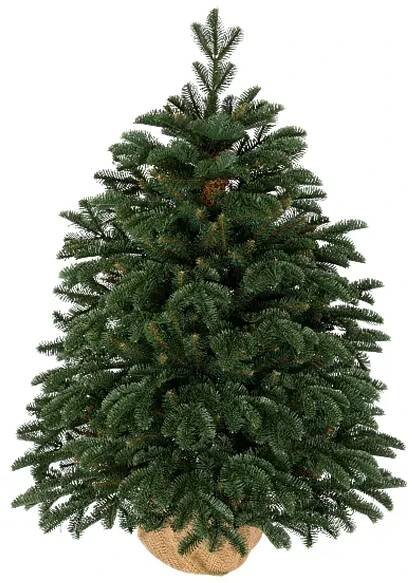 Vánoční stromek v květináči 3D Jedle Půvabná 60cm